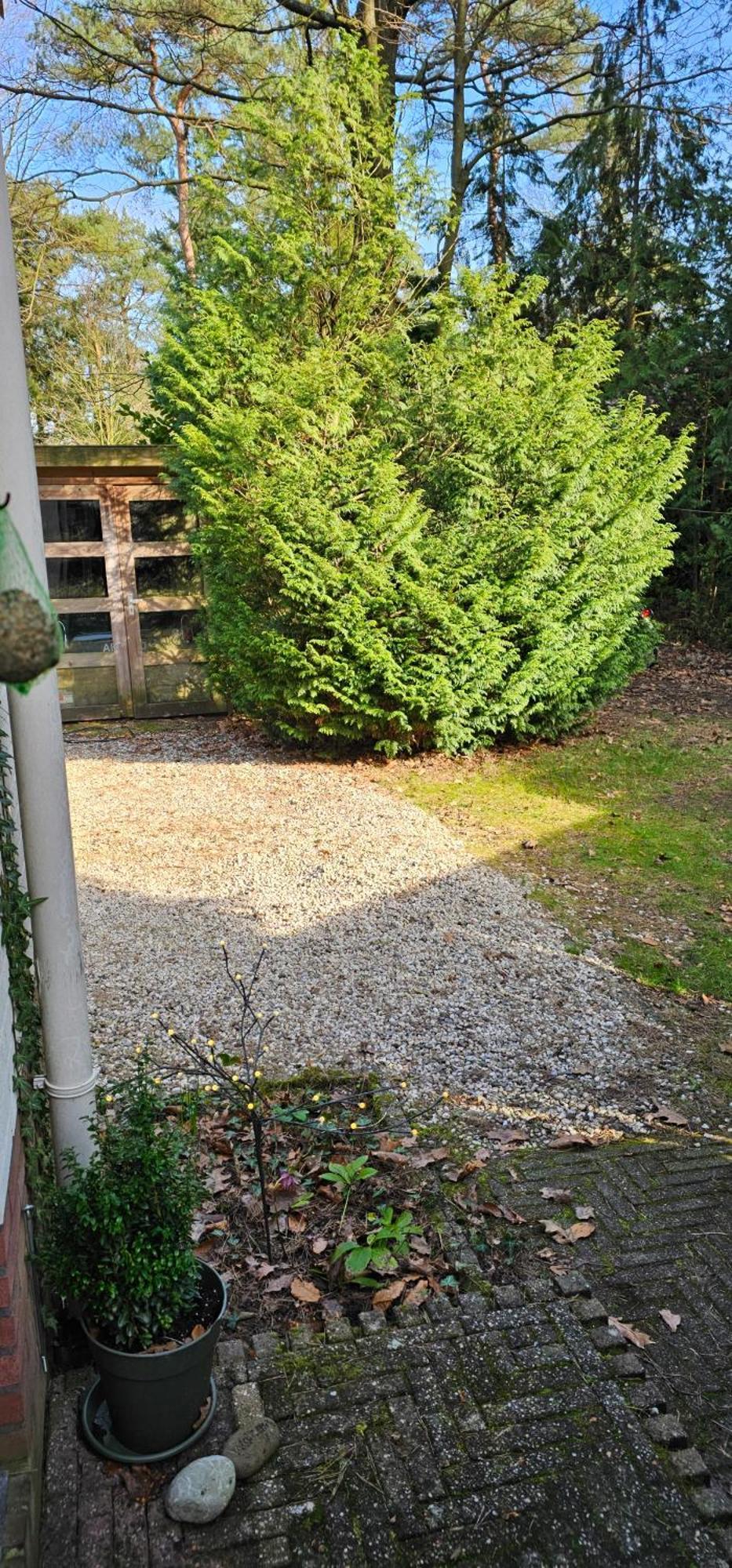 Dennenhuis Vaassen Esterno foto