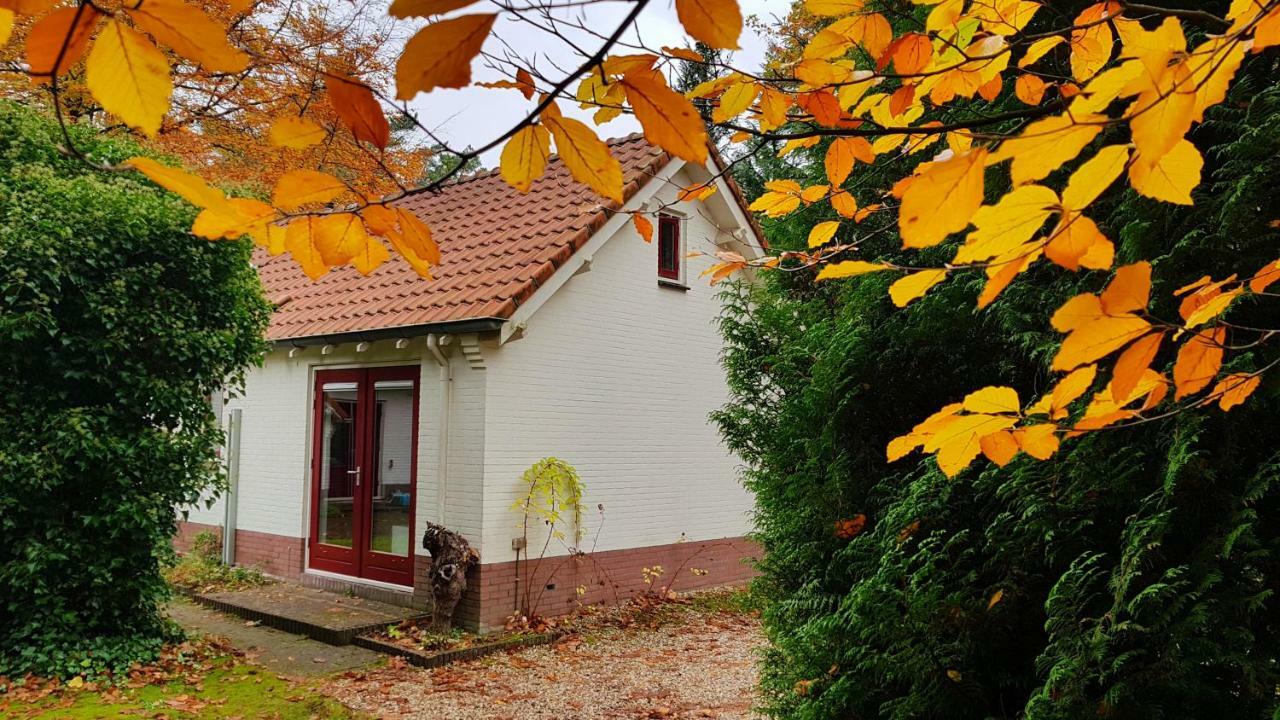 Dennenhuis Vaassen Esterno foto