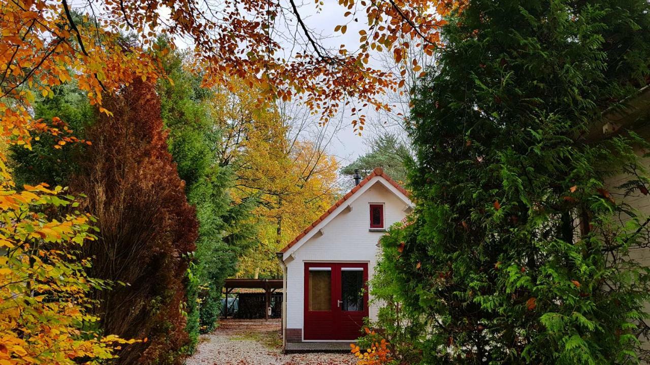 Dennenhuis Vaassen Esterno foto